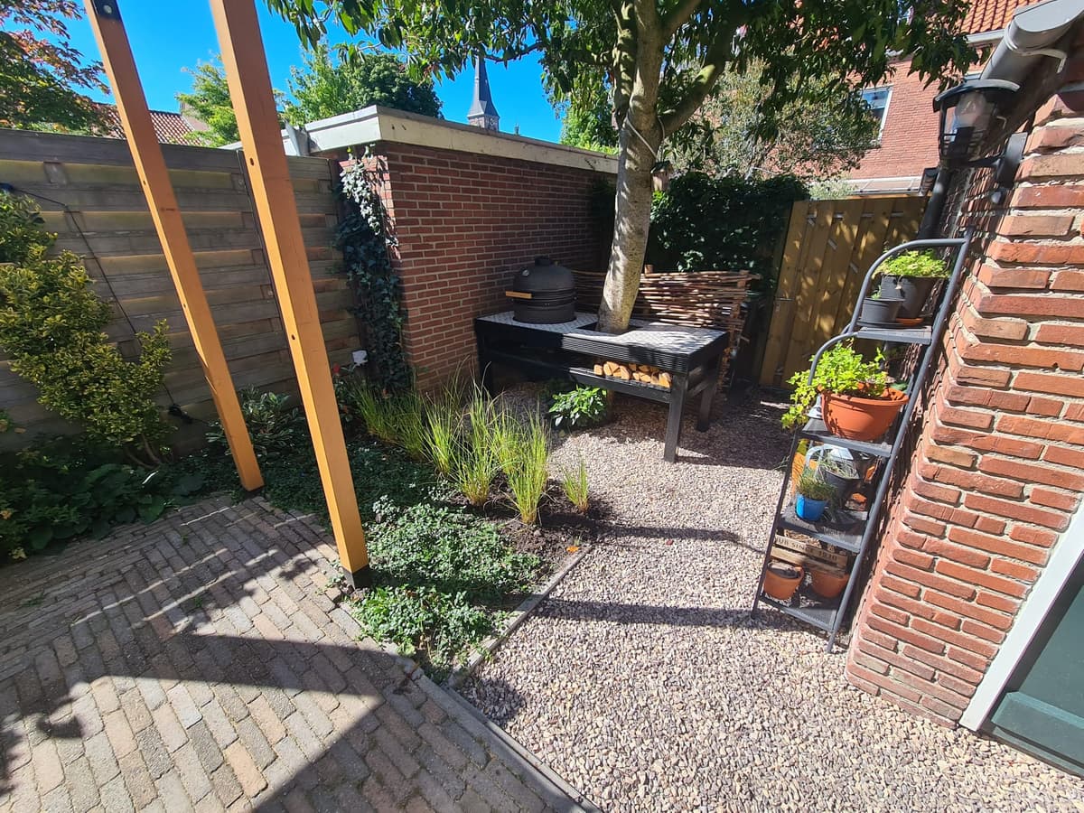Detailopname stadstuin met schaduwplanten