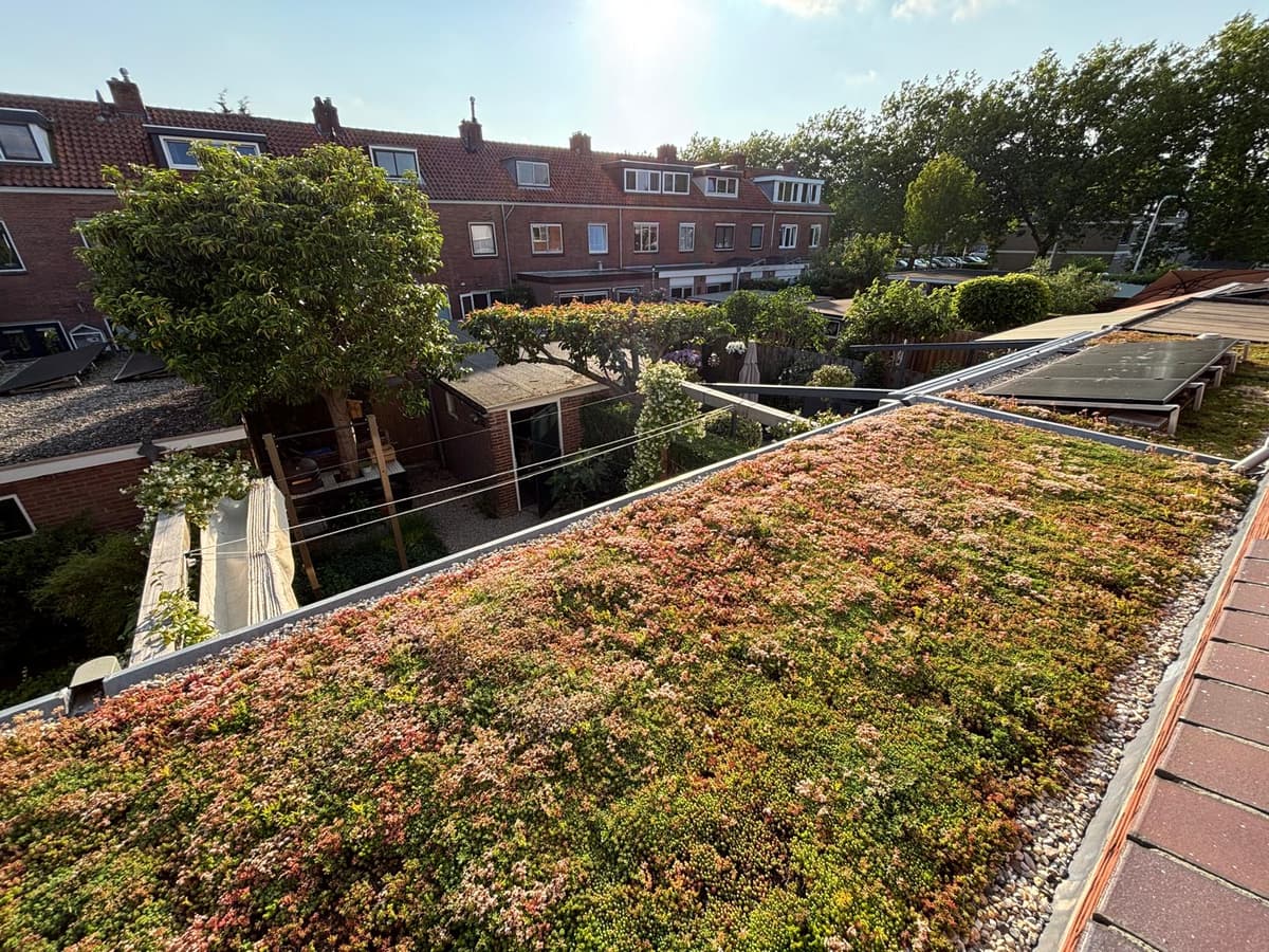 Stadstuin bovenaanzicht met beplanting en zithoek